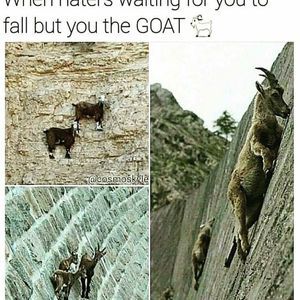 Meet your Posher, Todd